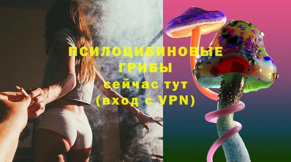 твердый Горняк