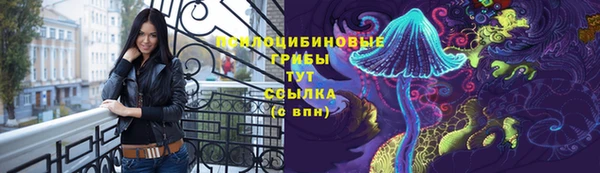 твердый Горняк
