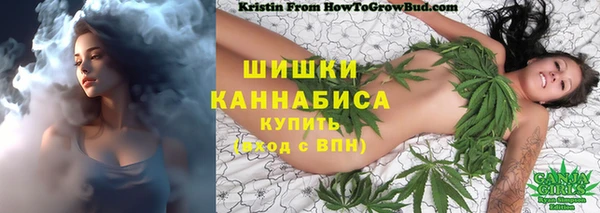 твердый Горняк