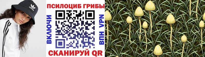 Купить  Знаменск  Галлюциногенные грибы мухоморы 