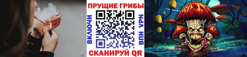 Псилоцибиновые грибы MAGIC MUSHROOMS Знаменск